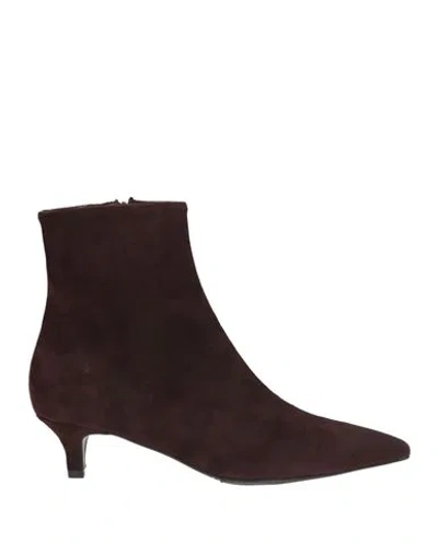 Bianca Di Woman Ankle Boots Dark Brown Size 9 Leather In Multi