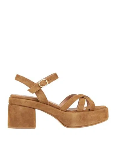 Bianca Di Woman Sandals Khaki Size 10 Leather In Multi