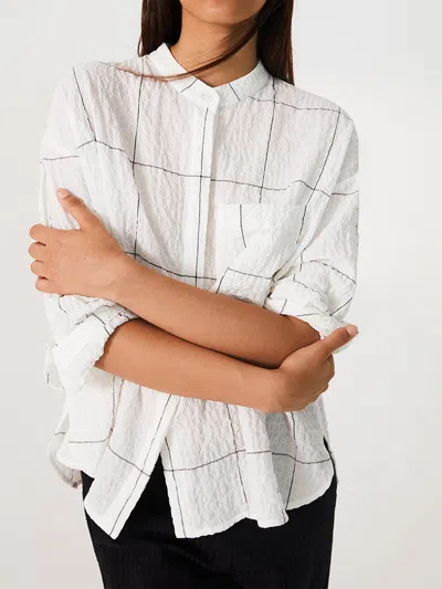 Biancalancia Whitish In White