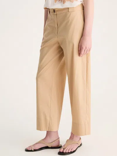 Biancalancia Pants In Brown