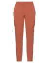 Biancoghiaccio Pants In Brown