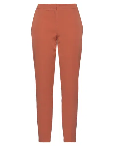 Biancoghiaccio Pants In Brown
