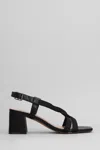 Bibi Lou Alia Sandals