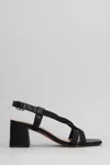 Bibi Lou Alia Sandals In Black