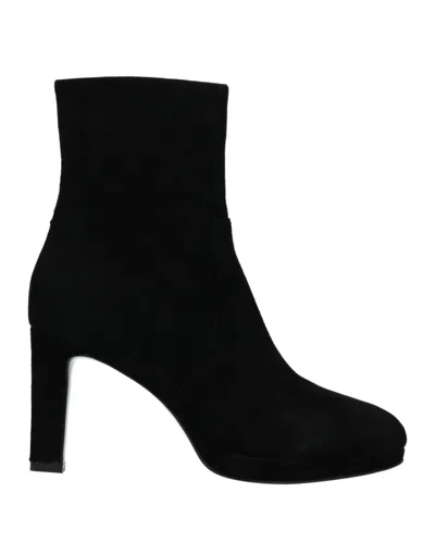 Bibi Lou Ankle Boots In Black