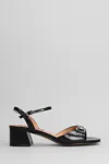 Bibi Lou Ashe 60 Sandals In Black