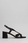 Bibi Lou Alia Sandals In Black