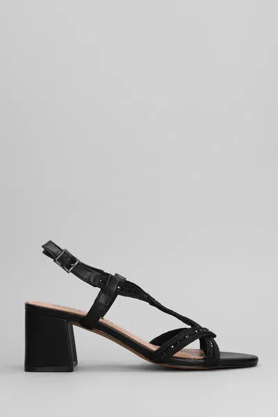 BIBI LOU BIBI LOU AYLA SANDALS