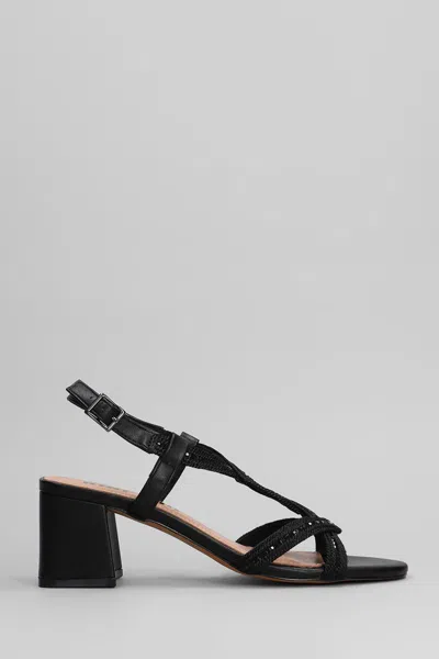 Bibi Lou Ayla Sandals In Black