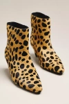 Bibi Lou Elara Ankle Boots In Multi