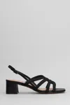 Bibi Lou Elea Sandals