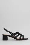 Bibi Lou Elea Sandals In Black