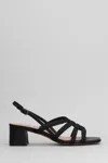 Bibi Lou Elea Sandals In Black