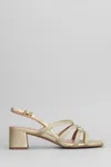Bibi Lou Jane Sandals In Gold