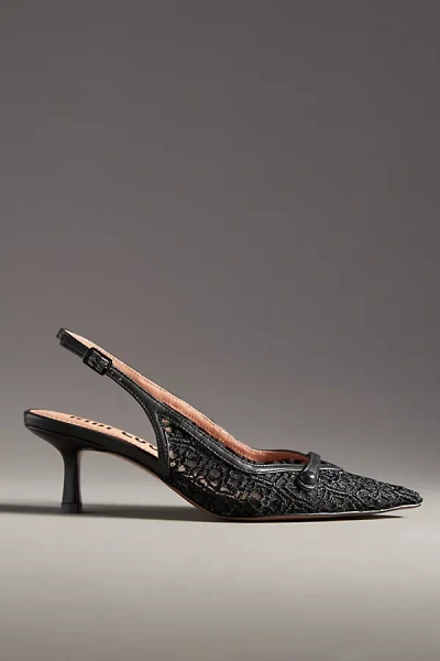 Bibi Lou Embroidered Mesh Slingback Kitten Heels In Black