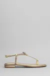 Bibi Lou Erin Sandals In Gold