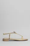 Bibi Lou Erin Sandals In Gold