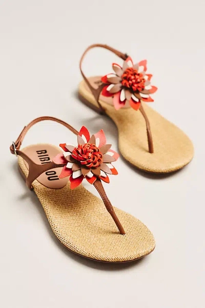 Bibi Lou Floral T-strap Sandals In Multi
