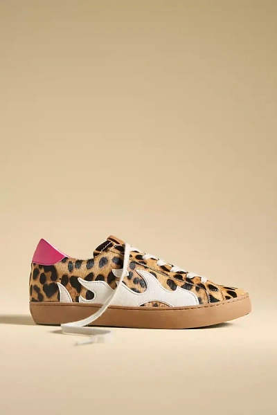 Bibi Lou Gamin Sneakers In Multicolor