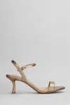 Bibi Lou Lotus 65 Sandals
