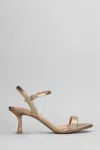 Bibi Lou Lotus 65 Sandals In Platinum