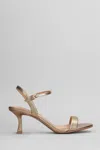 Bibi Lou Lotus 65 Sandals In Platinum