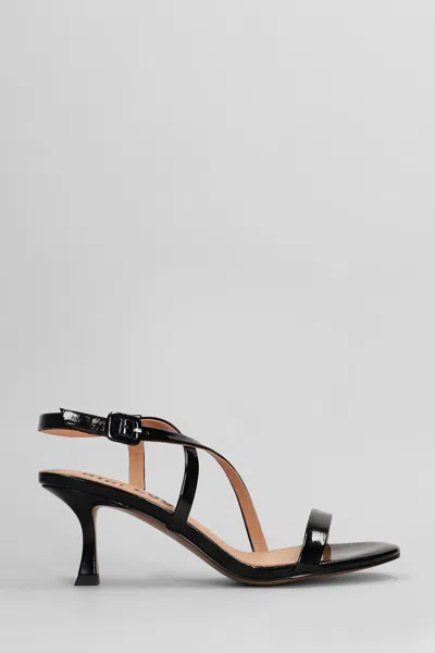 Bibi Lou Nica 65 Sandals