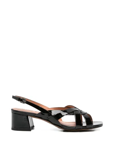 Bibi Lou Nolia Sandals In Black