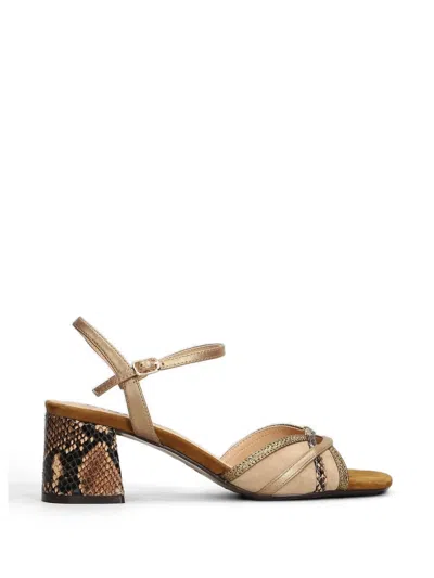 Bibi Lou Snakeskin-effect Block-heel Sandals In Brown