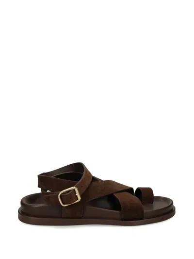 Bibi Lou Suede Sandals In Brown