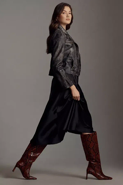 Bibi Lou Tall Printed Snake Boots In Red
