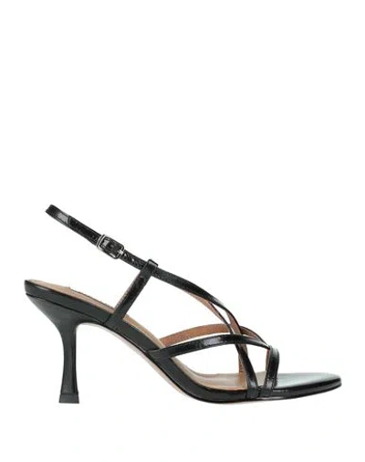 Bibi Lou Woman Sandals Black Size 8 Leather In Black