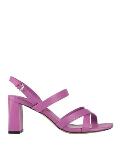 Bibi Lou Woman Sandals Mauve Size 8 Leather In Purple