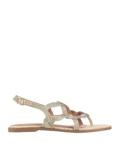 Bibi Lou Woman Thong Sandal Gold Size 8 Textile Fibers, Synthetisches Material