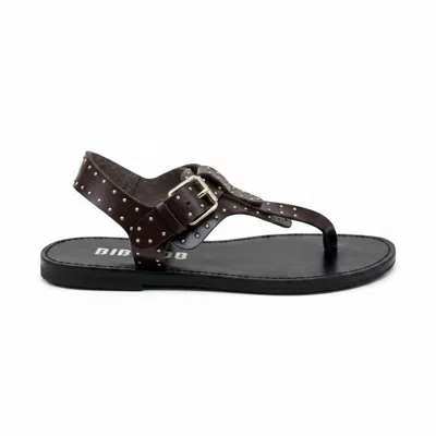 Bibi Lou Women's Biscott Falt Open Toe Sandal In Brown