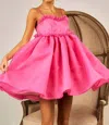Bibi Sweet Heart Neck Sleeveless Tulle Mini Dress In Fuschia