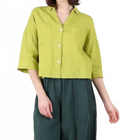 Bibico Ava Oversized Blouse In Citronelle Linen In Green
