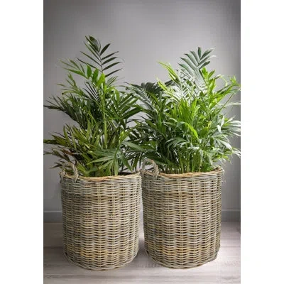 Bidkhome Set Of 2 Grey Round Rattan Baskets In Gray