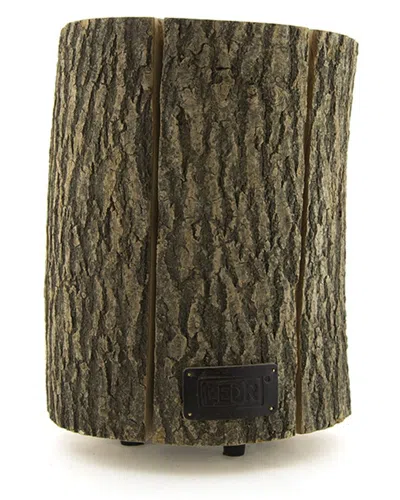 Bidkhome Wood Light