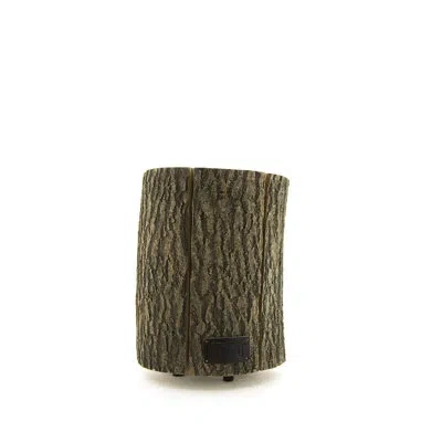Bidkhome Wood Light - Ash Wood L