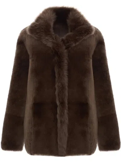 Bigardini Shearling Jacket With Plush Texture And Wide Collar In Brown