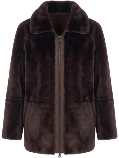 Bigardini Zalina In Brown