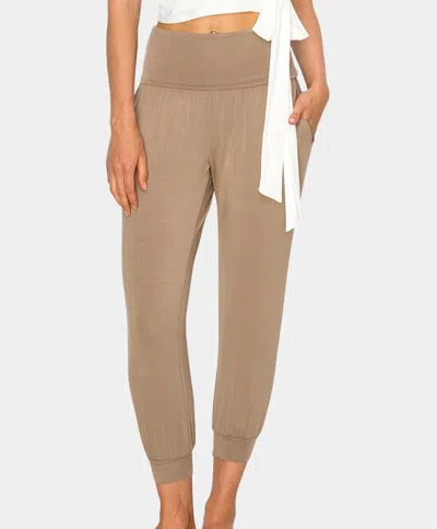 Bijourocks Bamboo Yoga Pant In Taupe In Brown