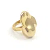 Biko Women's Molten Ring Gold In Gold