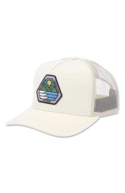Billabong A/div Trucker Hat In Neutral