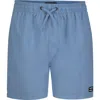 Billabong Kids' All Day Layback Swim Trunks