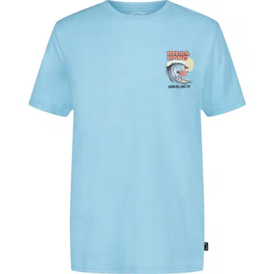 Billabong Kids' Flamingo Surf Cotton Graphic T-shirt In Blue