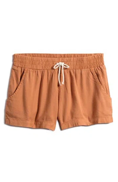 Billabong Kids' Hit The Road Shorts In Sunburnt