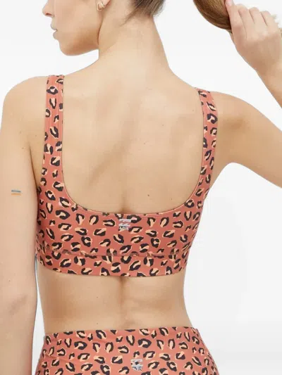 Billabong 레오파드 프린트 스포츠 브라 In Orange