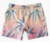 Billabong Men's Sundays Boardshort In Fade